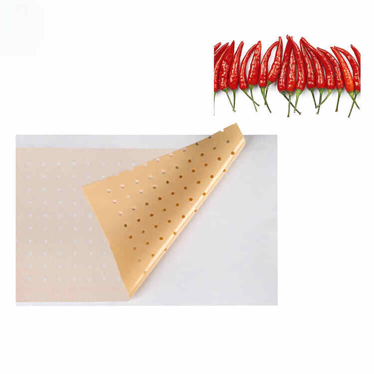 capsicum plaster | Kongdymedical