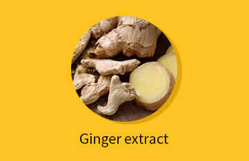 Ginger extract