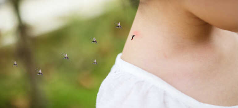 kongdymedical|